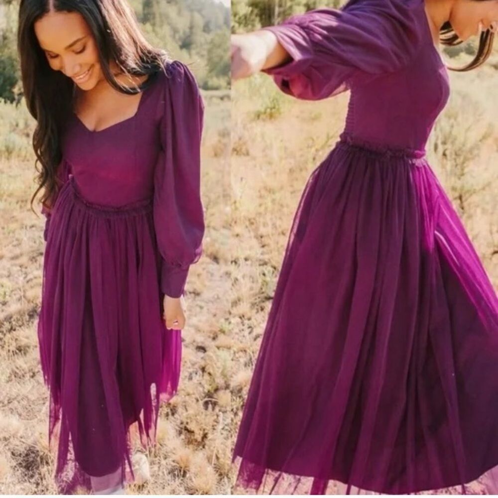 NWT Ivy City Co Florence Tulle Dress Plum size Large
